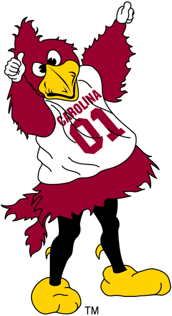 South Carolina Gamecocks 2002-Pres Mascot Logo iron on paper